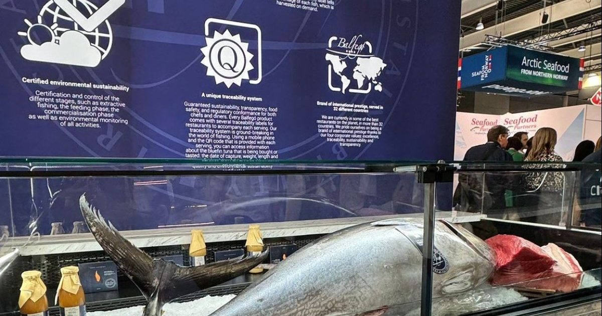 Els nous productes de Balfegó són: tonyina al pibil, tonyina esqueixada, tonyina fumada de llom i ventresca, i tonyina en cresta xinesa.