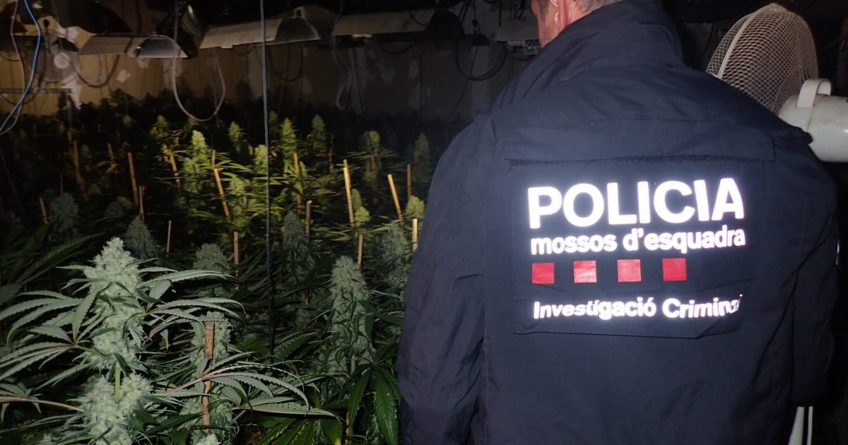 La investigació continua oberta i no es descarta que es puguin fer més detencions.