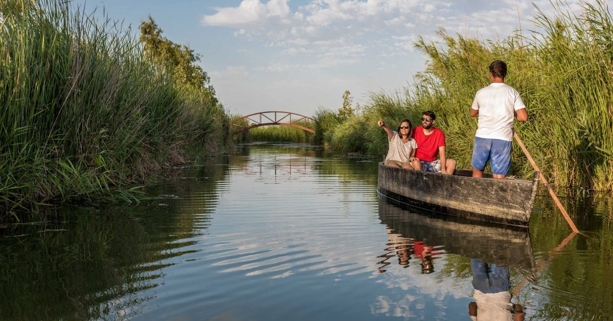 La xarxa es desplegarà en 12 ubicacions estratègiques del delta, inclosos ullals, llacunes i canals com els de Baltasar, l'Encanyissada, la Tancada i les Olles