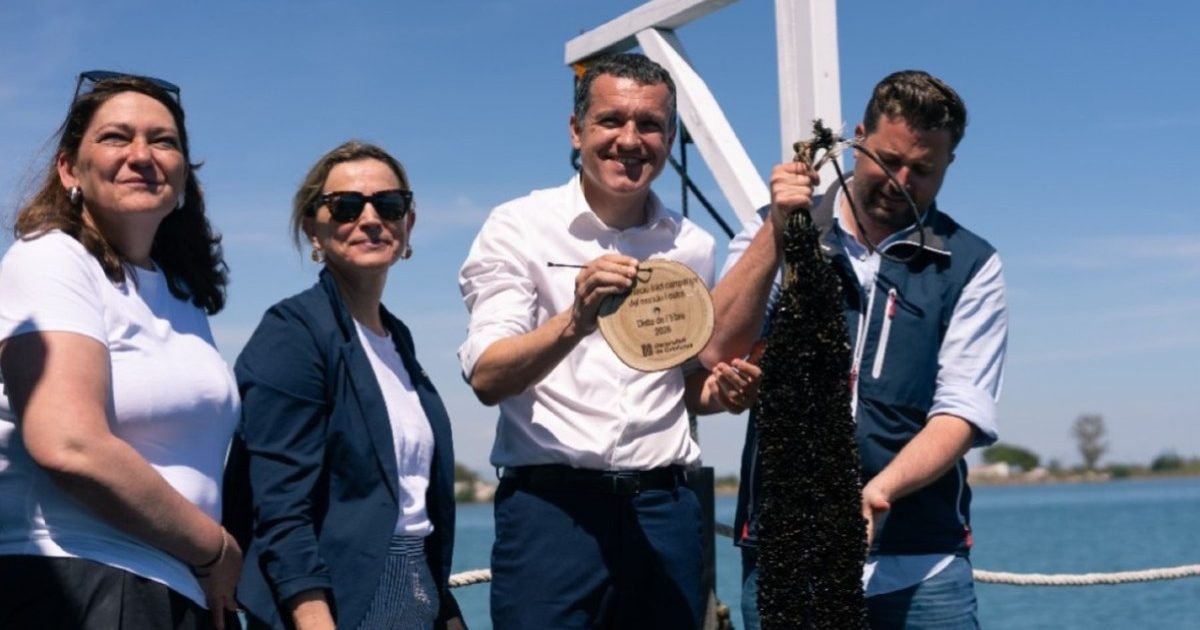 Les principals actuacions inclouen la substitució d'embarcacions de motor de combustió per elèctric i la instal·lació de plaques solars en trenta magatzems del sector.