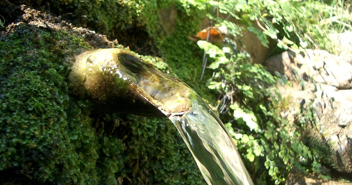 Unió de Pagesos va considerar insuficient la informació de la Memòria tècnica i va assenyalar que només es consideraven alguns punts de control quan n'hi havia altres del mateix municipi amb nivells baixos de nitrats.