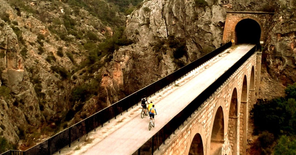 L'obra inclou infraestructures destacables com un pont metàl·lic verd de 90 metres que supera l'autopista AP7 i la carretera C-12 prop d'Amposta.