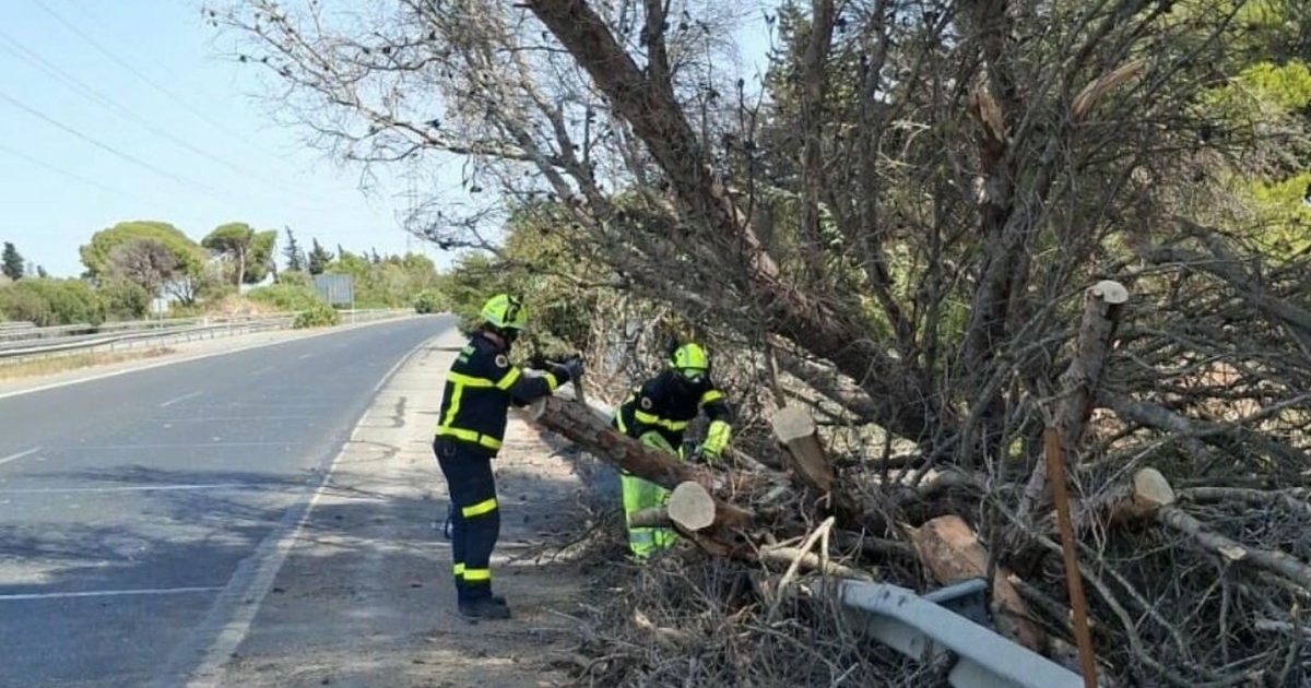 Els conductors van alertar del risc poc després de les 14.15 hores el 22 d'abril de 2026.
