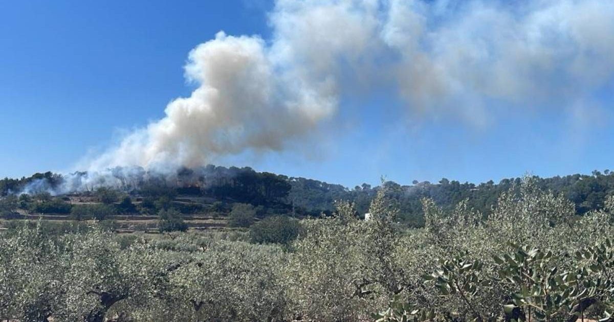 Tot i estar treballant encara, els efectius han estabilitzat la situació del foc de vegetació.
