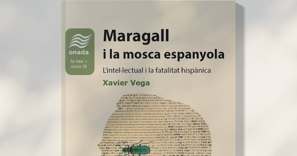 L'autor afirma que la Regió de l'Ebre és "la regió estratègica" que uneix el Principat amb el País Valencià, malgrat que no és vegueria de iure.